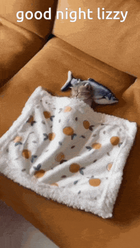 a cat is sleeping under a blanket on a couch with the words goodnight lizzy written above it