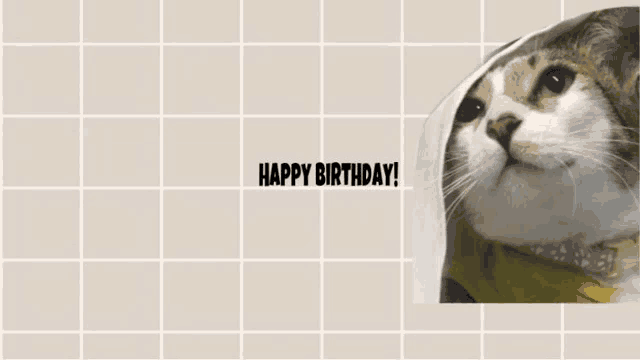 a picture of a cat with the words happy birthday written on it