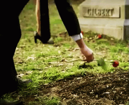 Grave GIF - Funeral Flowers Grave GIFs