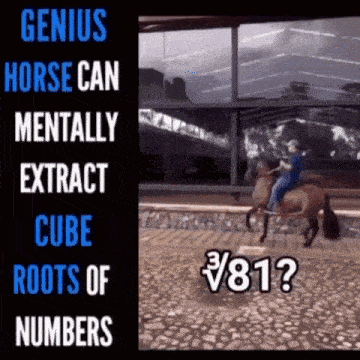 a genius horse can mentally extract cube root of numbers