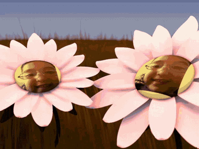 a couple of flowers with faces on them in a field