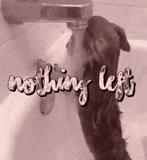 Nothing Left Too Hard GIF - Nothing Left Too Hard Cant Even GIFs