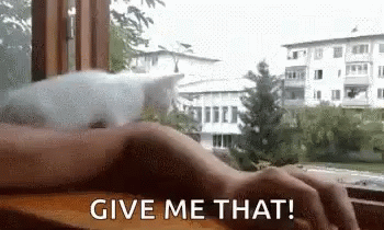 Cat Hands GIF - Cat Hands Give Me That GIFs