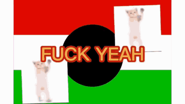 a picture of a cat with the words fuck yeah written on it