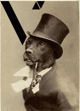 a dog wearing a top hat and smoking a pipe with the letter v in the background