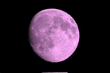 a close up of a pink full moon on a black background .