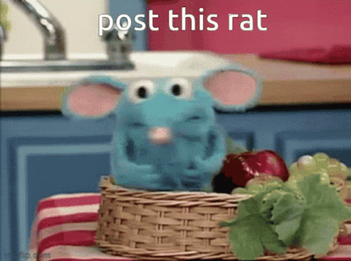 Post This Rat Rat GIF - Post This Rat Rat Tutter GIFs