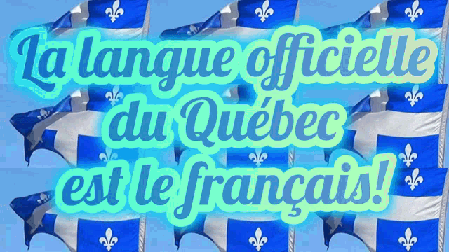 Quebec Québec GIF - Quebec Québec Bill GIFs