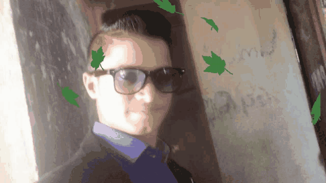 Selfie Fall GIF