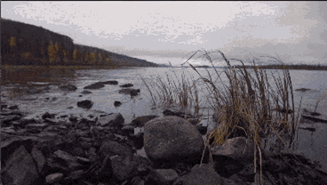 a pixelated image of a lake with rocks and grass in the foreground