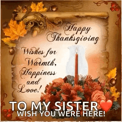 a happy thanksgiving wishes for warmth , happiness and love to my sister wish you were here !