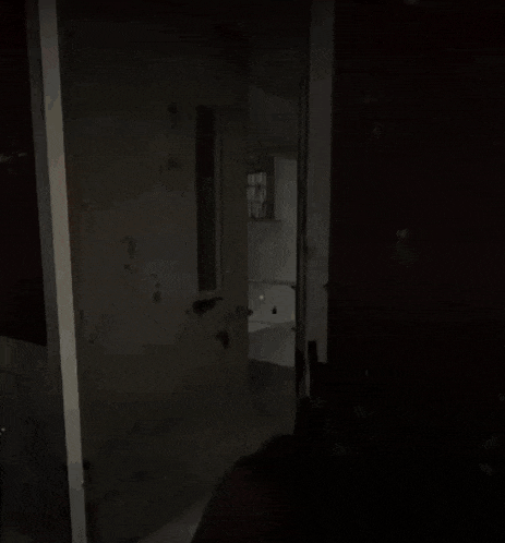 a person is holding a gun in front of an open door