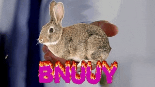 a person is holding a small rabbit in their hands with the word enjuy written in pink