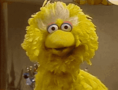 big bird from sesame street is standing in front of a mirror looking at the camera .