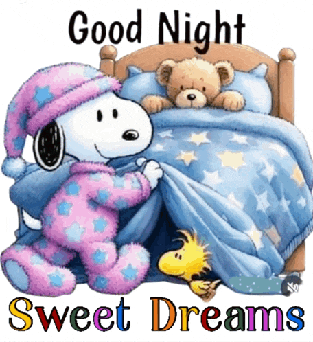 a cartoon of snoopy and woodstock saying " good night sweet dreams "