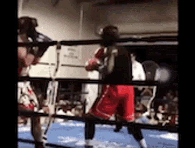 Knock On Wood Boxing GIF - Knock On Wood Boxing Boxer GIFs