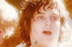 Frodo Baggins Shocked GIF