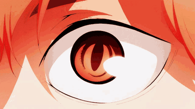 a close up of a person 's eye with a white background