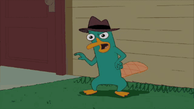 a cartoon perry the platypus wearing a hat