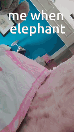 Elep Baby Elephant GIF - Elep Baby Elephant GIFs