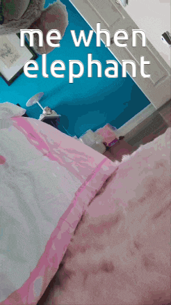 a picture of a bed with the words " me when elephant " on the bottom