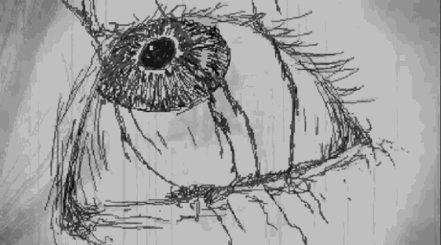 a black and white drawing of a person 's eye with a tree branch behind it