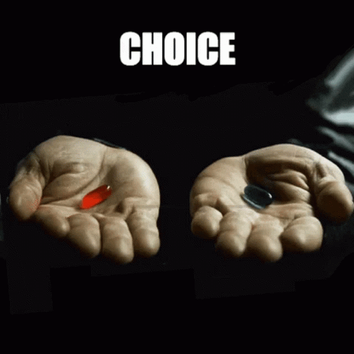 Pick Wisely GIF - Pick Wisely GIFs