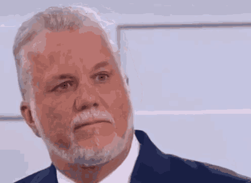 a man with a beard is wearing a suit and tie and looking at the camera .