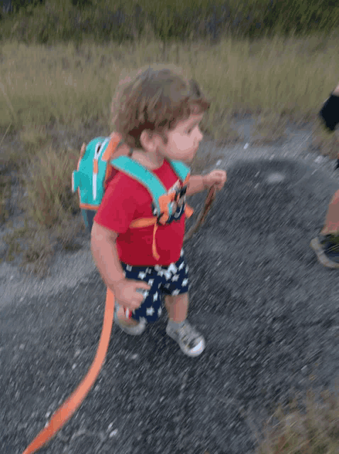 a toddler wearing a red shirt and blue shorts is walking on a leash