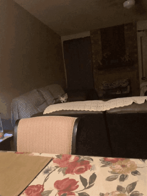 a cat is laying on a couch in a living room with a floral table cloth