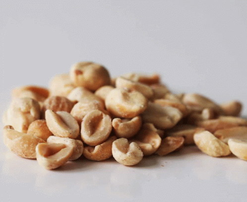 Peanut GIF - Peanut GIFs