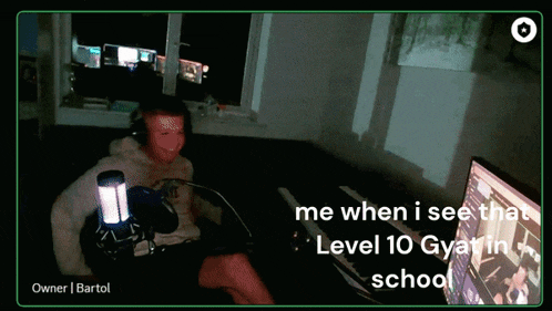 a picture of a person sitting in front of a computer with the caption me when i see that level 10 gyari school