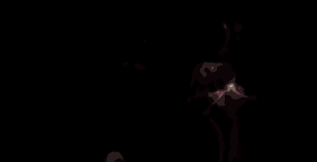a pair of rockstar games shotgun shells in a dark room