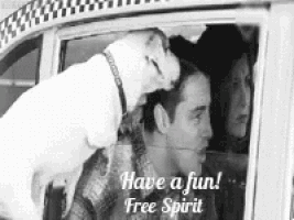 a white dog is sitting on a man 's head in a taxi ..