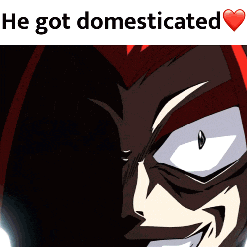 a picture of a cartoon character with the words he got domesticated below it