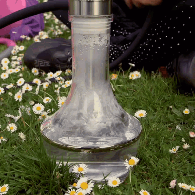 a hookah is sitting in the grass with flowers and a greek key shirt