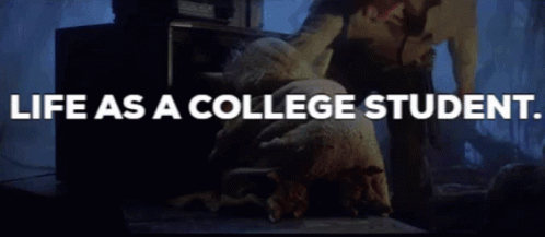 Life As A College Student Life GIF - Life As A College Student Life College GIFs