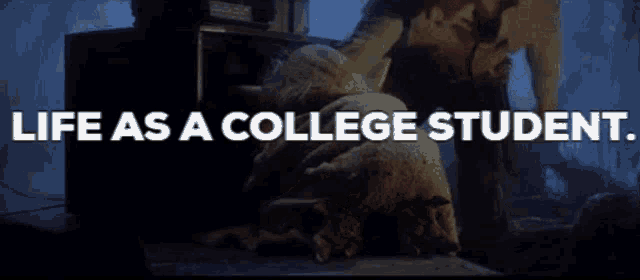 a poster that says " life as a college student " in white letters