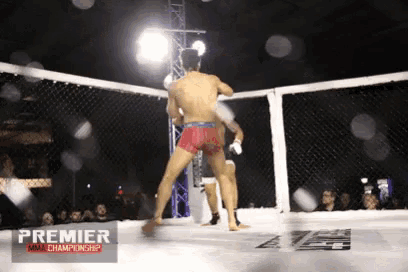 two men fighting in a cage with the words premier mma championship