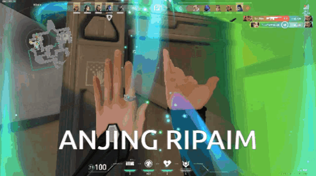 a screenshot of a video game with the words anjing ripaim at the top