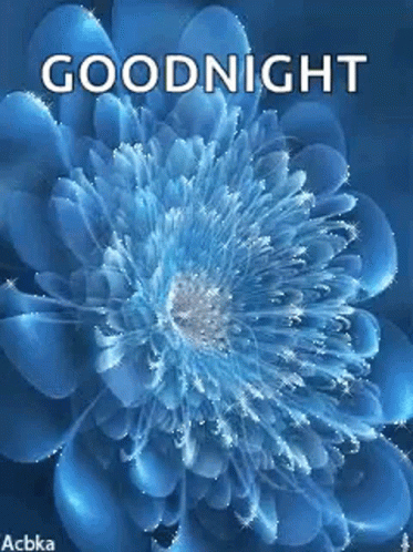 Good Night Sparkles GIF - Good Night Sparkles Flower GIFs