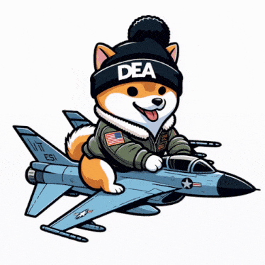 a dog wearing a hat that says dea is riding a fighter jet