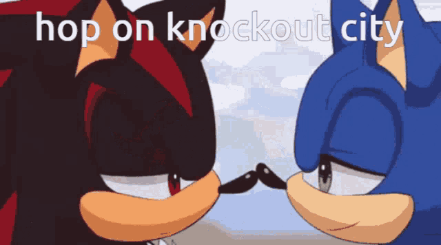 shadow the hedgehog and sonic the hedgehog are looking at each other