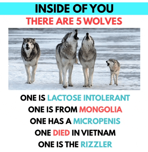 a poster that says " inside of you there are 5 wolves "