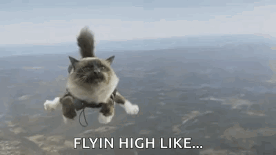 Fly GIF - Fly GIFs