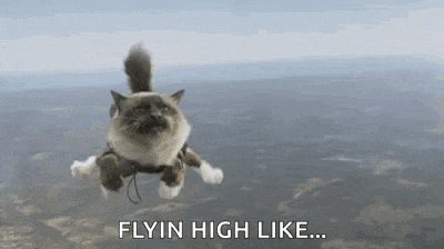 a cat is flying through the air with the words `` flyin high like '' written below it .