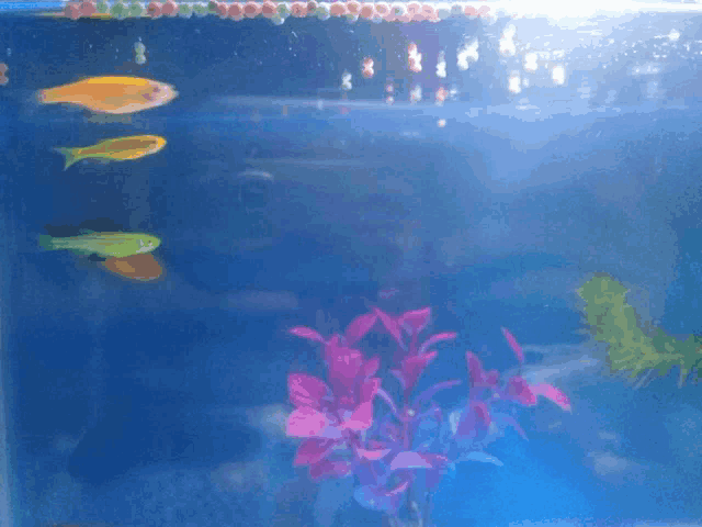 a fish tank with a pink plant and a few fish in it