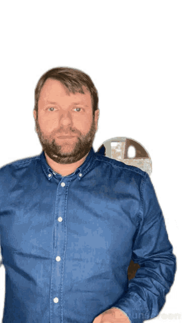 a man with a beard wearing a blue shirt is standing in front of a white background
