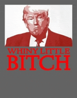 a poster with a picture of donald trump and the words whiny little bitch in red letters
