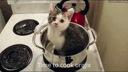 Origix Time To Cook Origix GIF